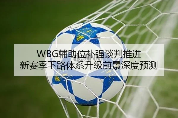 WBG辅助位补强谈判推进 新赛季下路体系升级前景深度预测 | Leyu