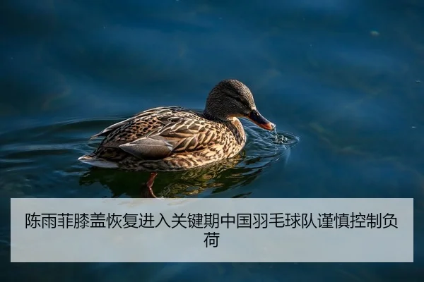 陈雨菲膝盖恢复进入关键期中国羽毛球队谨慎控制负荷 | Leyu