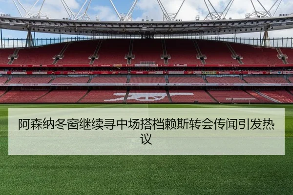 阿森纳冬窗继续寻中场搭档赖斯转会传闻引发热议 | Leyu